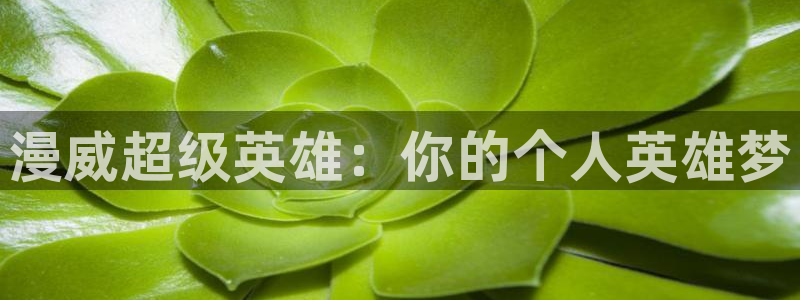 动漫屋app：漫威超级英雄：你的个人英雄梦