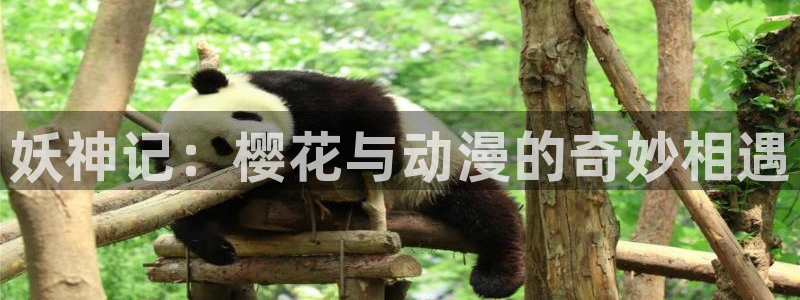 动漫屋官方网站：妖神记：樱花与动漫的奇妙相遇